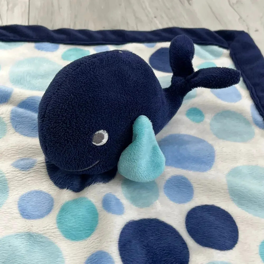 Carters carter blue